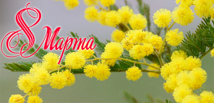 C праздником 8 марта!