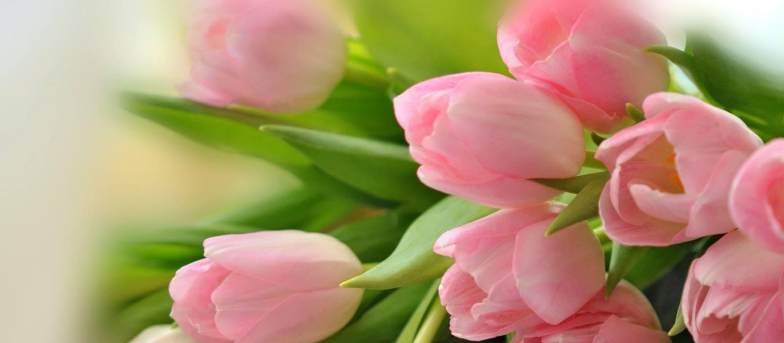 Поздравление с Международным женским днём 8 марта