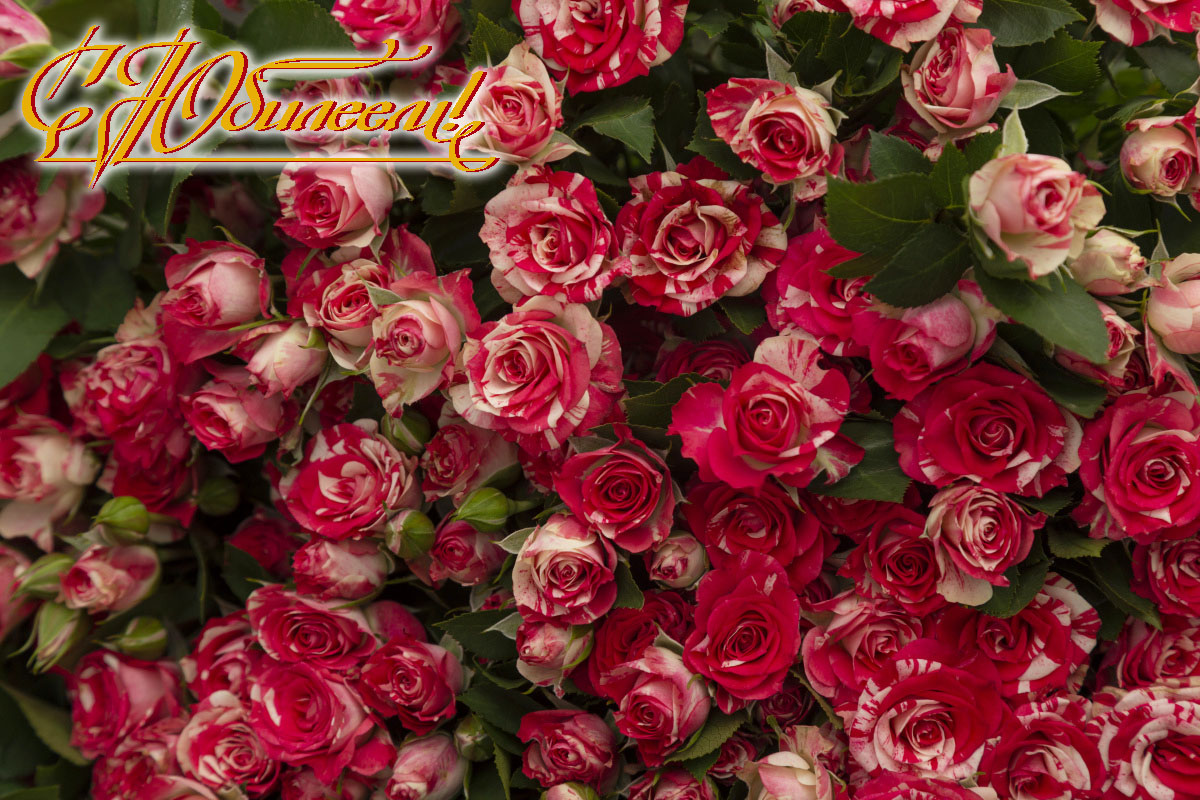 Юрию Алексеевичу Казанскому исполняется 95 лет