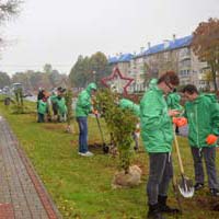 Волонтеры Росатома посадили цветы и деревья в Обнинске.