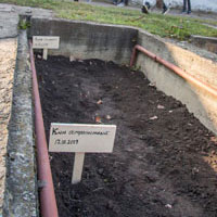 Сотрудники ГНЦ РФ – ФЭИ вместе с движением «Возродим наш лес» посадили деревья в оранжерее предприятия.