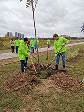 Сажать растения сотрудникам института помогали ландшафтные дизайнеры.