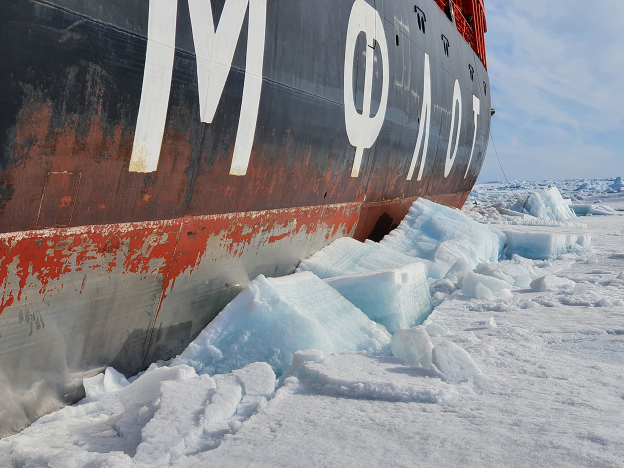 Экспедиция на атомном ледоколе – это ни с чем не сравнимые впечатления