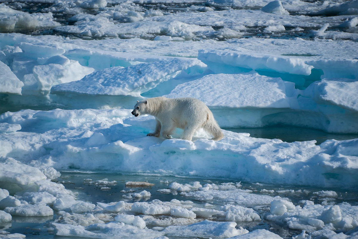Росатом  открыл сбор заявок на спецноминацию Всероссийской премии «За верность науке»
