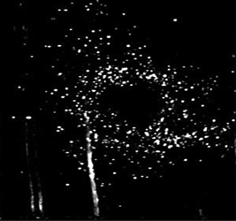 Исследование ядерно-возбуждаемой пылевой плазмы